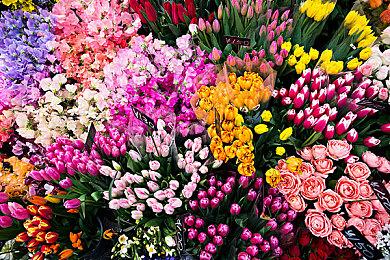 《上古卷轴OL》正在为跨平台联机进行底层技术调整