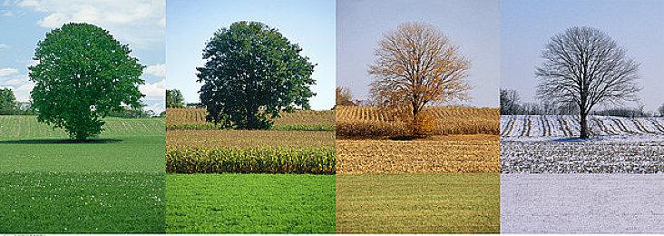 一代国民神车上线《极限竞速：地平线5》掀起五菱宏光热