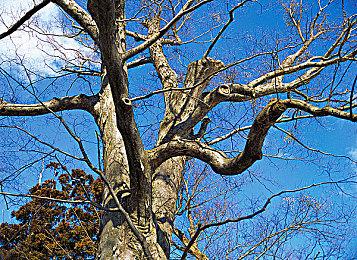 《极限竞速：地平线5》媒体评分解禁 MC站均分91